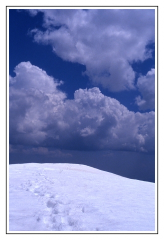 alpes traces.jpg